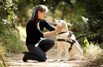 Guide Dogs NSW/ACT